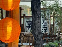 -伴山茶苑·一盏冰茶·半日山居