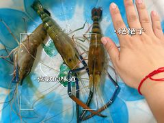 -阳澄湖半岛旅游度假区