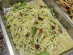 -大邑李记肥肠血旺