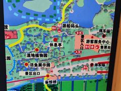 -宁波杭州湾国家湿地公园