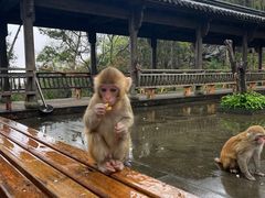 -千岛湖东南湖区