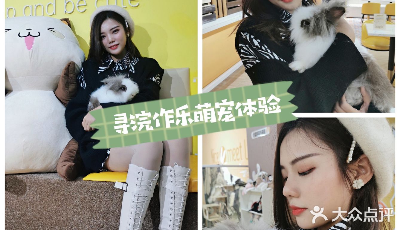 厦门探店‖兔兔浣熊小香猪三大萌宠等你来撸