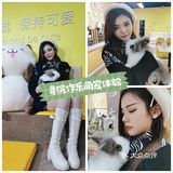 厦门探店‖兔兔浣熊小香猪三大萌宠等你来撸
