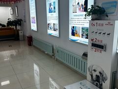 -北京观赏动物医院·24小时大型综合·猫专科·异宠专科