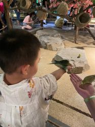 -酷嗒动物文化乐园(cutezoo西溪乐天城店)