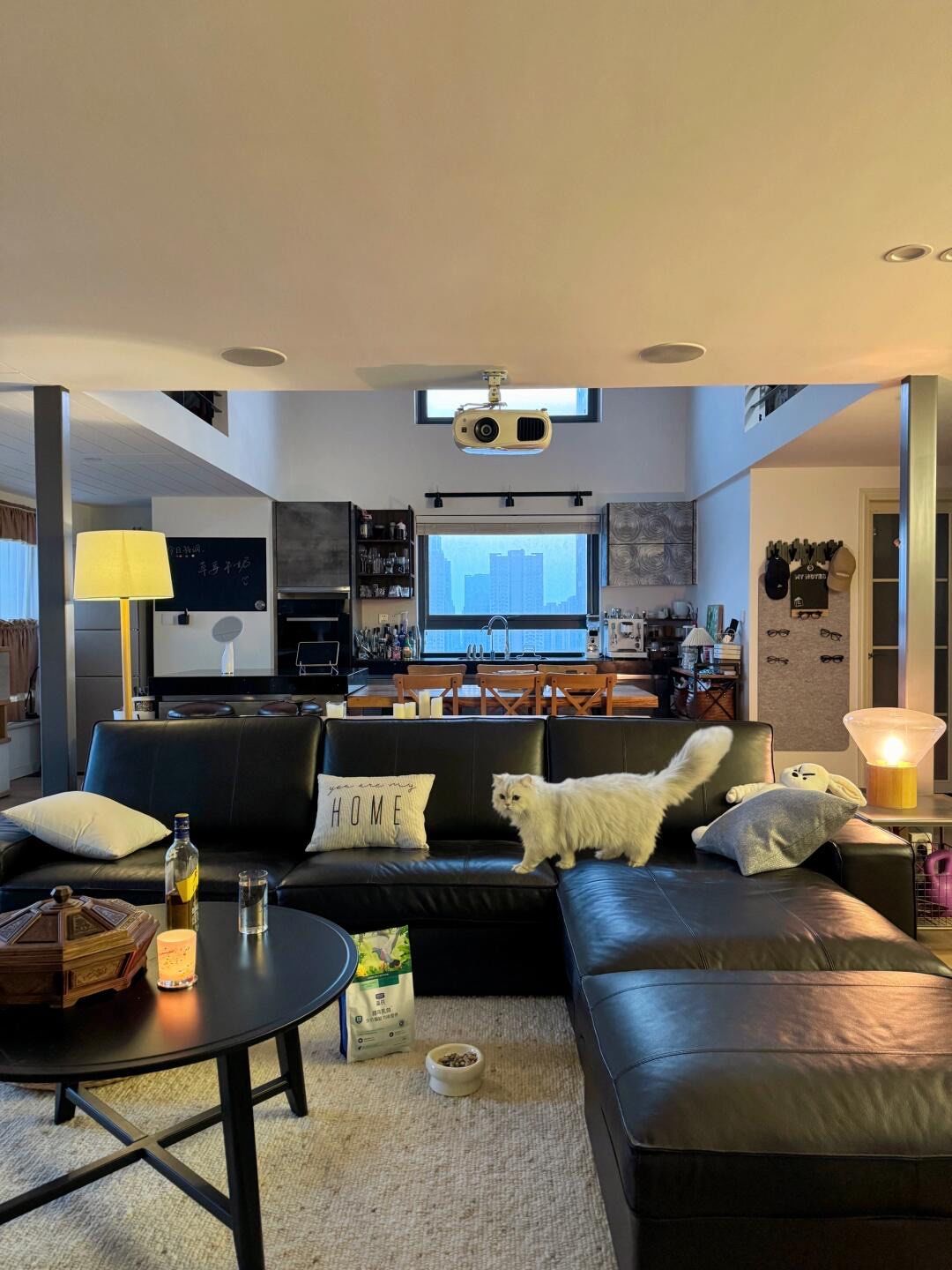 50平 一个人的小豪宅🏠