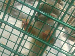 -泉州海丝野生动物世界