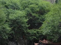 -北京上方山国家森林公园
