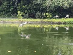 -广州长隆飞鸟乐园