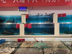水产区-普天和酒楼·新津菜·烤鸭(天津之眼店)