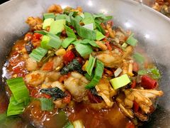 干锅牛蛙-新新湘菜馆(新中街二条店)