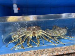 -江杨农产品批发市场