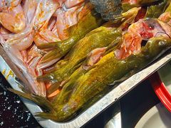 -青山青豆花·笑禅豆腐鱼(黄泥塝店)