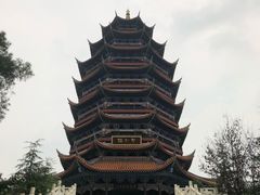 -铁山坪森林公园