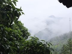 -石台牯牛降景区