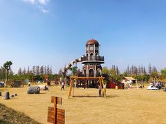 -上海长兴岛郊野公园