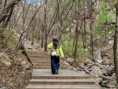 -大岭沟猕猴桃谷风景区