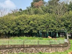 -宁波野生动物园