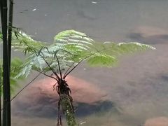 -四洞沟景区
