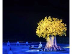 -鼎盛王朝康熙大典实景演出