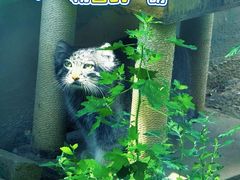-青藏高原野生动物园