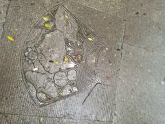 -普陀山风景名胜区-千步大沙