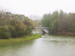 -上海海湾国家森林公园