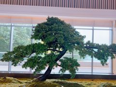 -上海佘山世茂艾美酒店