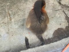 -北京动物园