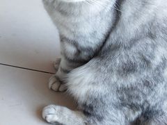 -平行世界·猫咖(首经贸店)