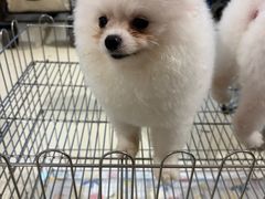 -国际非物质文化遗产博览园