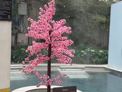 -海德温泉生活馆(朝阳大悦城店)