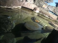 -厦门海底世界