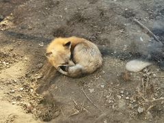 -无锡动物园·太湖欢乐园