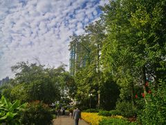 -晓港公园