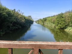 -黄海国家森林公园