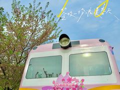 -古柏渡丰乐樱花园