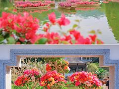 -广州市白云山风景名胜区