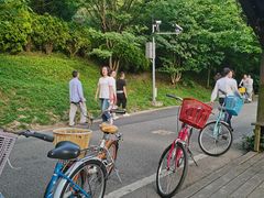 -贵阳市花溪国家城市湿地公园