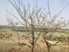 -汉长安城未央宫国家考古遗址公园