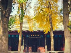 -万寿八仙宫