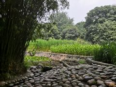 -成都市活水公园