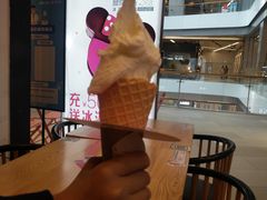 -野人先生现做冰淇淋(北京环宇荟店)