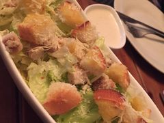 -百好乐宠物友好餐厅(朝外大街店)