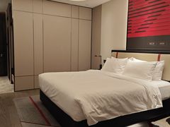 -广州南站丽芮酒店