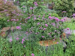 -南京外国语学校(仙林分校西区)