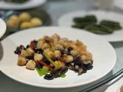 鸡枞菌鲜贝-天福苑(崇宁路店)