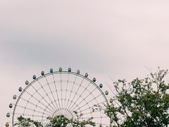 -琴岛之星摩天轮