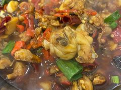 干锅牛蛙-新新湘菜馆(新中街二条店)