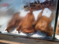 -京八珍(虎坊桥店)